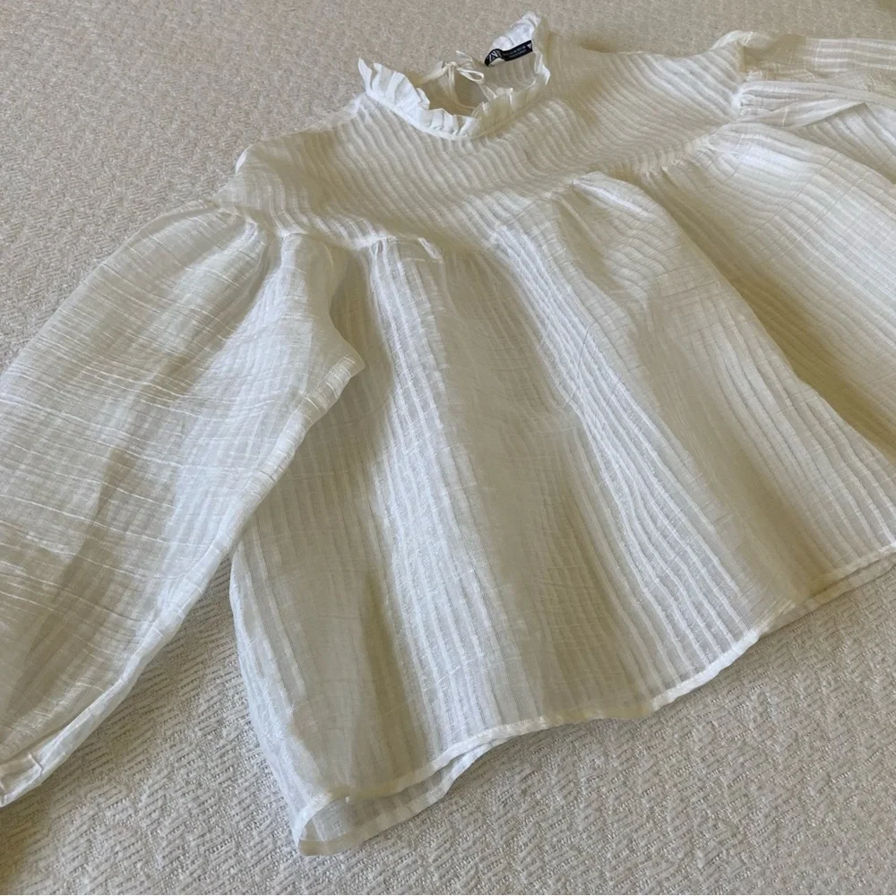 Zara Striped Ruffle Neck Organza Blouse